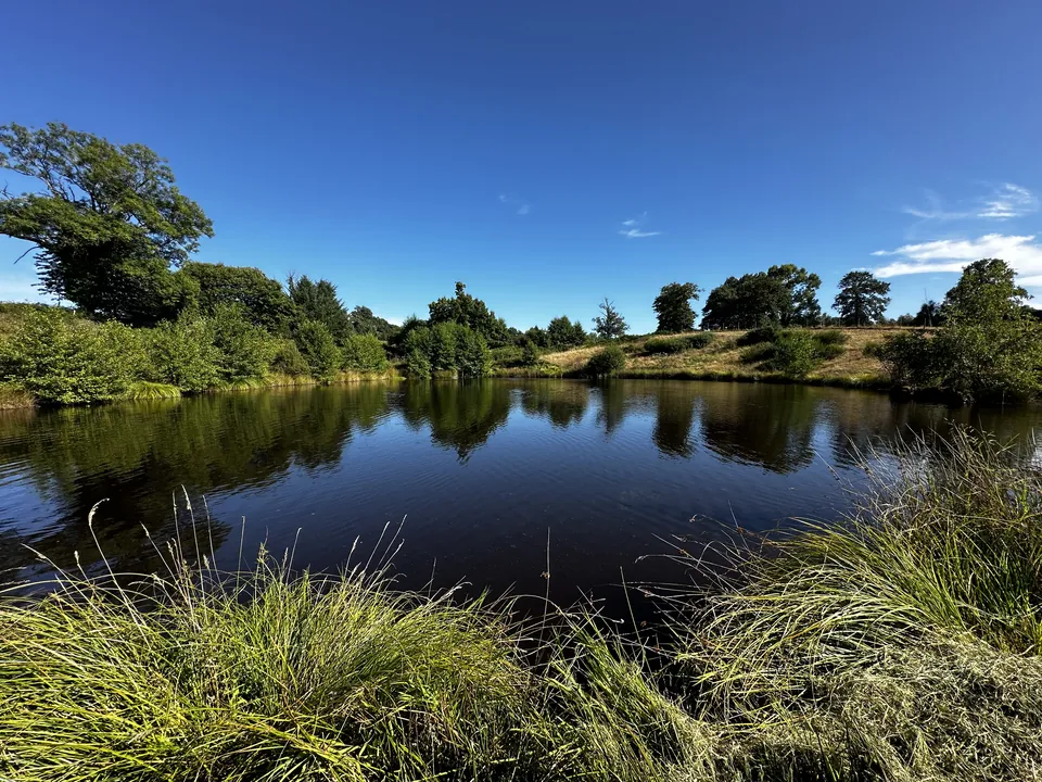 Der Teich auf dem Anwesen unter blauem Himmel