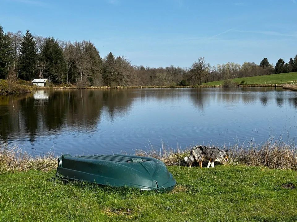 L'étang et sa barque, sous le ciel bleu